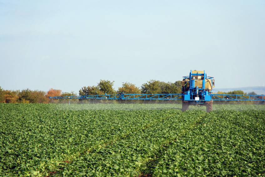 Monsanto2