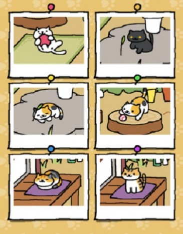 nekoatsume1