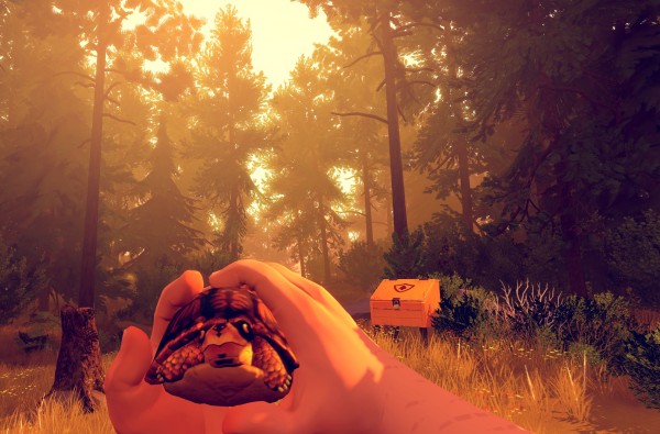 firewatch4
