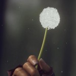 Opened World: Fictions Within Fictions