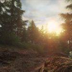 Let's Place: The Forest With No Trees